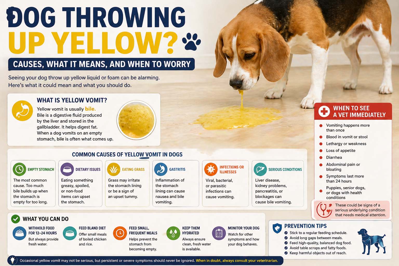Dog Throwing Up Yellow