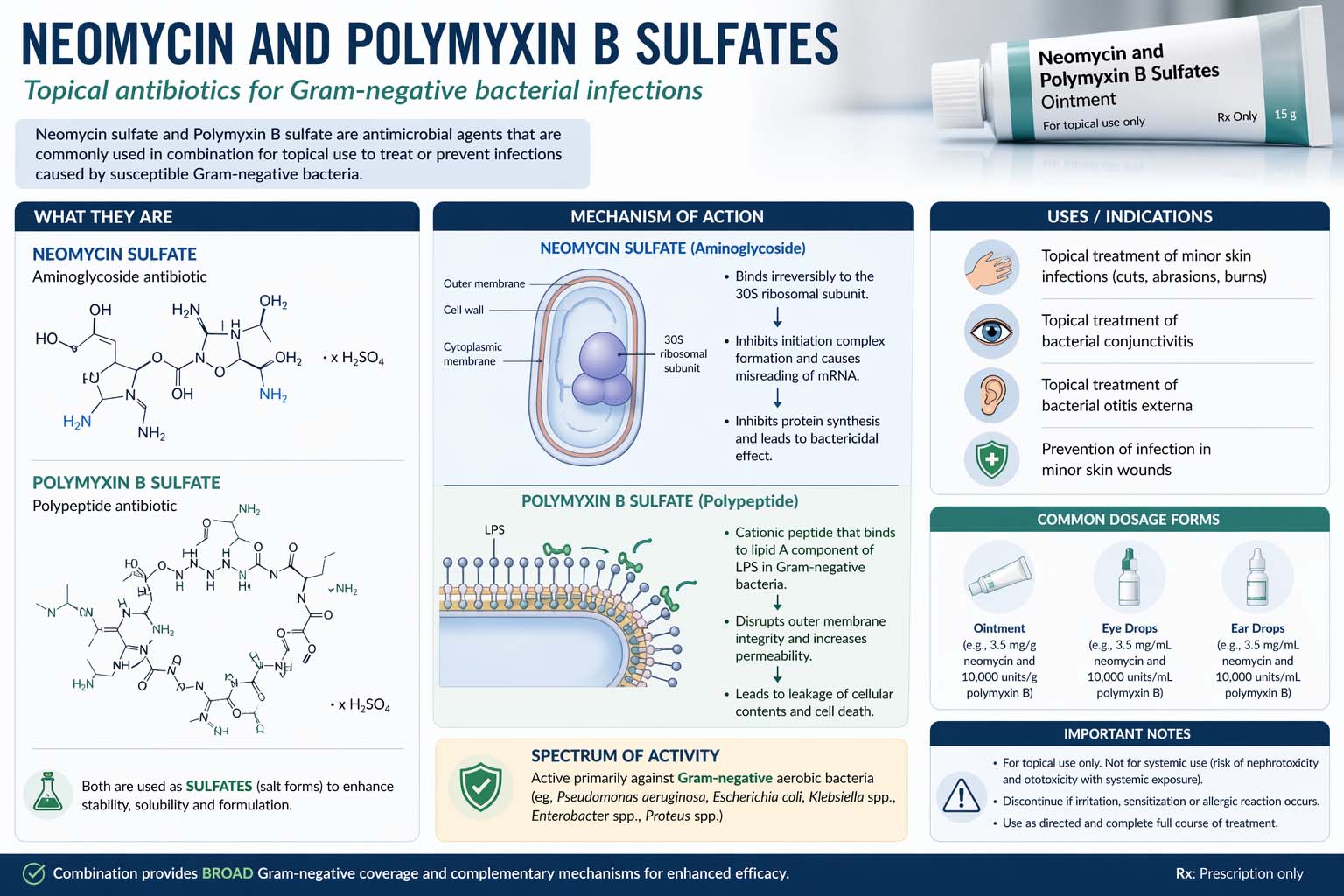 Neomycin and Polymyxin B Sulfates