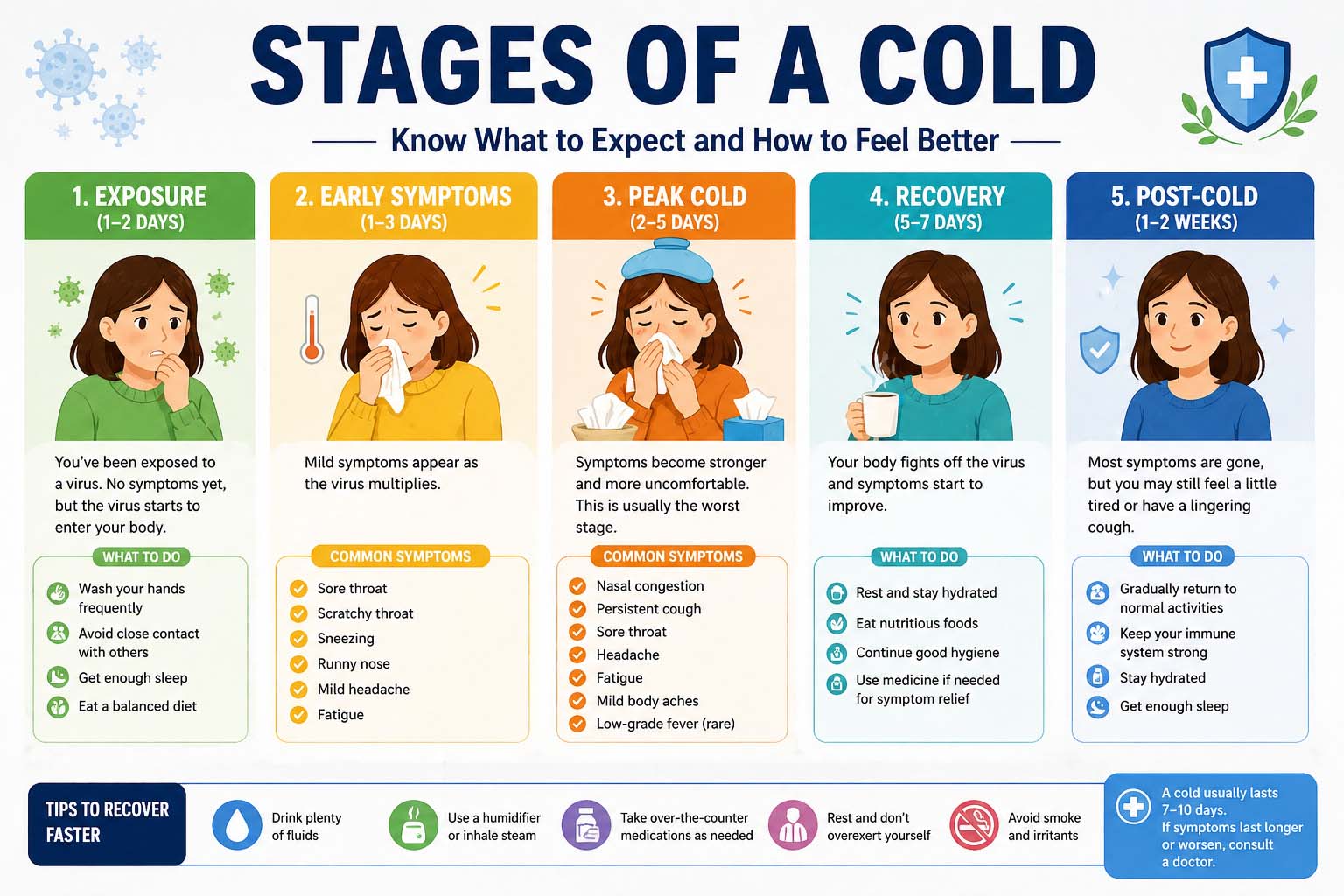 Stages of a Cold