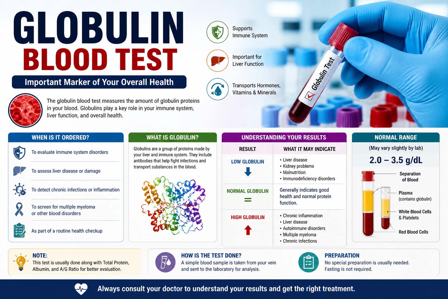 Globulin Blood Test