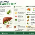 what does your gallbladder do