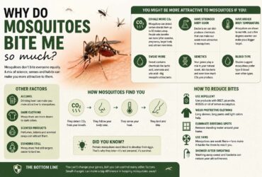 why do mosquitoes bite me so much