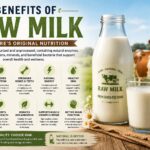 Benefits of Raw Milk: Nutrition, Potential Advantages, Risks, and What to Know benefits of raw milk