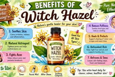 benefits of witch hazel