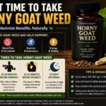 best time to take horny goat weed