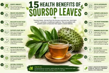 15 health benefits of soursop leaves